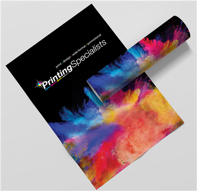11" x 17" Posters